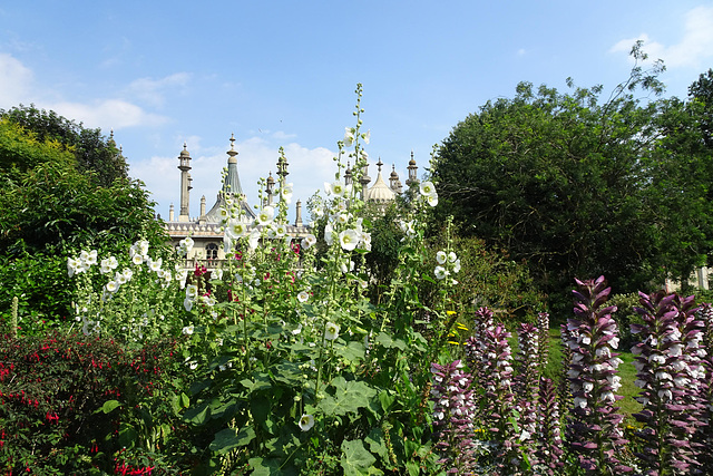 Brighton Pavilion Through The Flowers