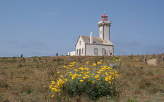 Phare des Poulains