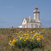 Phare des Poulains