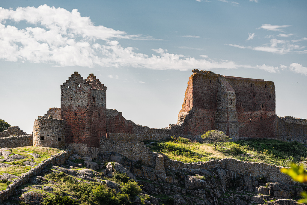 20210812- DSC7335