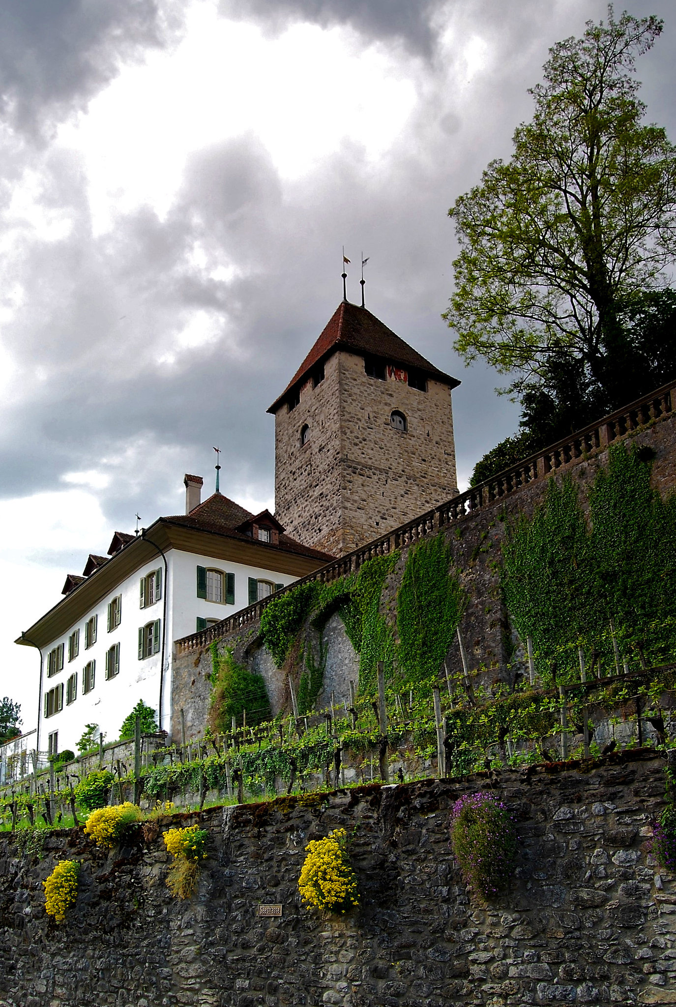 Walls at Spiez castle