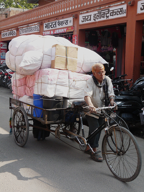 Jaipur- Wide Load