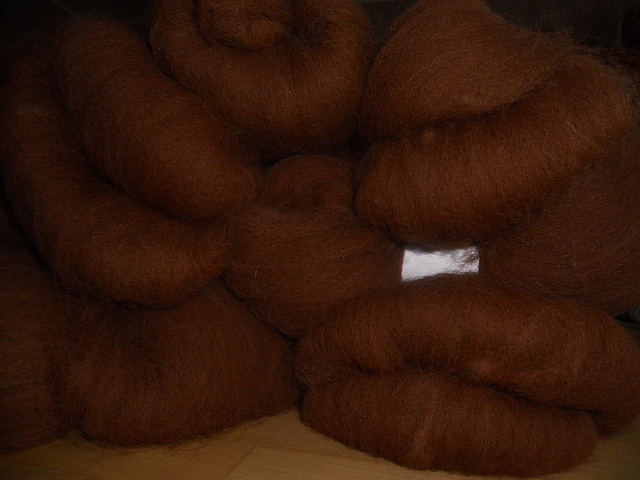 Choc chock alpaca