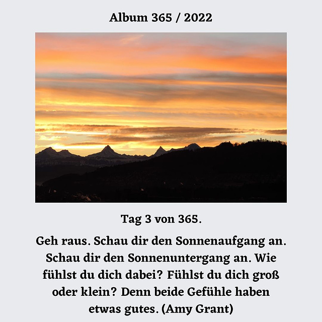 Album 365 /2022 -Tag 3.