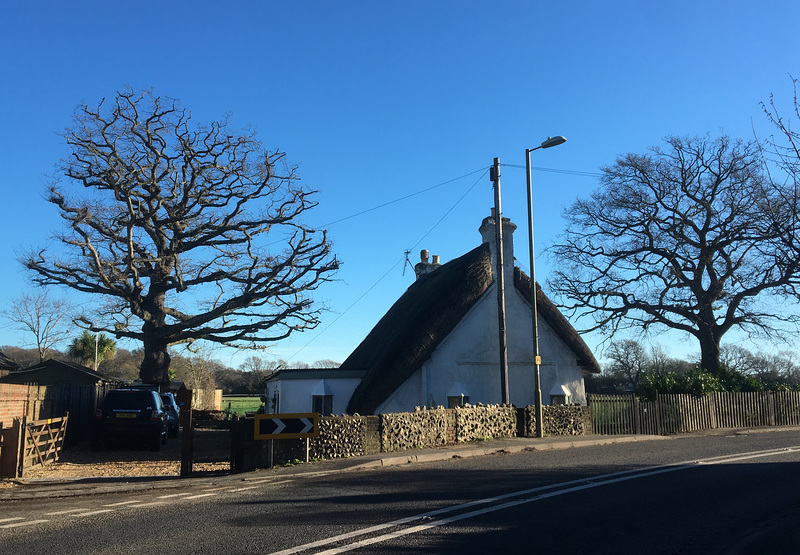 Thatched Cottage