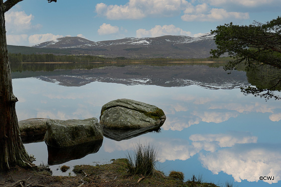 LR--1000274SR Loch Garten