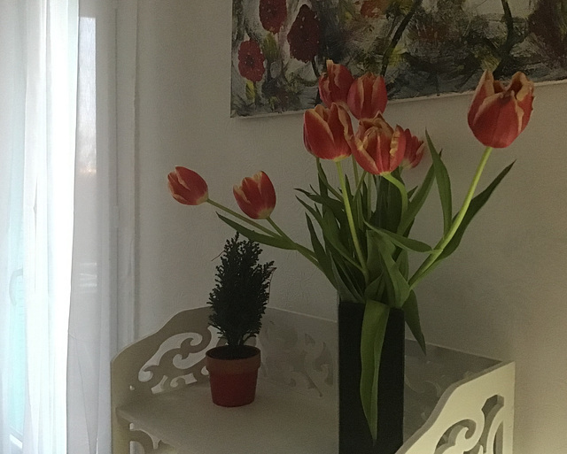 Bon dimanche Bon dimanche
