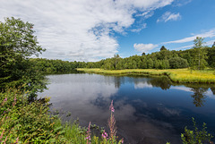 Rotes Moor - 20150815