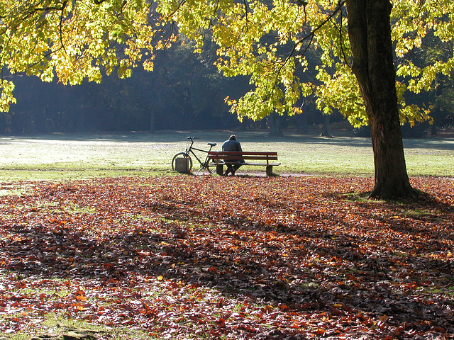 Die große Wiese im Herbst