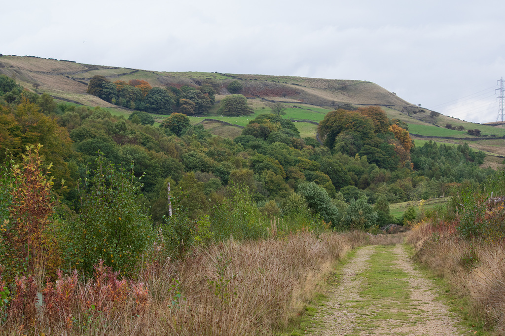 Lees Hill from 'desolation row'