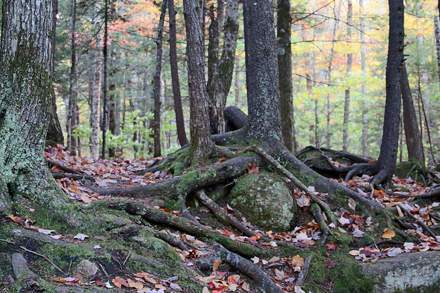 Besting a boulder