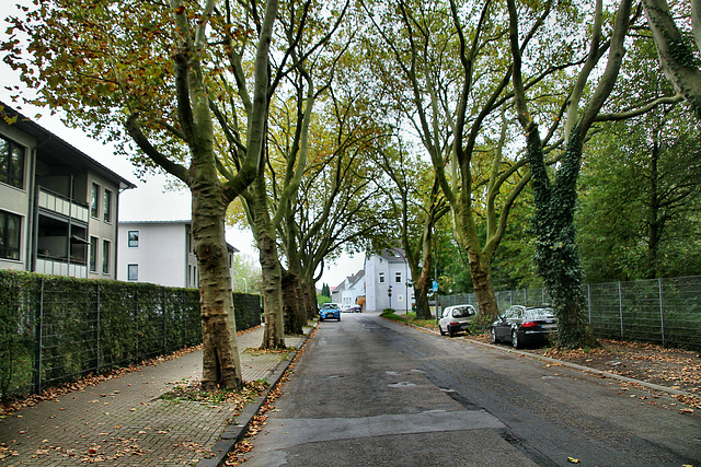 Eschstraße (Herne) / 3.10.2020