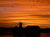 260103 sunset over windmill with birds