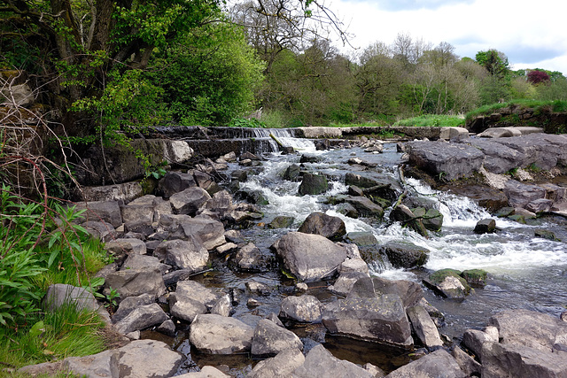 Ball Grove park & river.