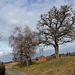 Benken ZH 2.01.22 / Schützenhaus und ehemaliger Kindergarten