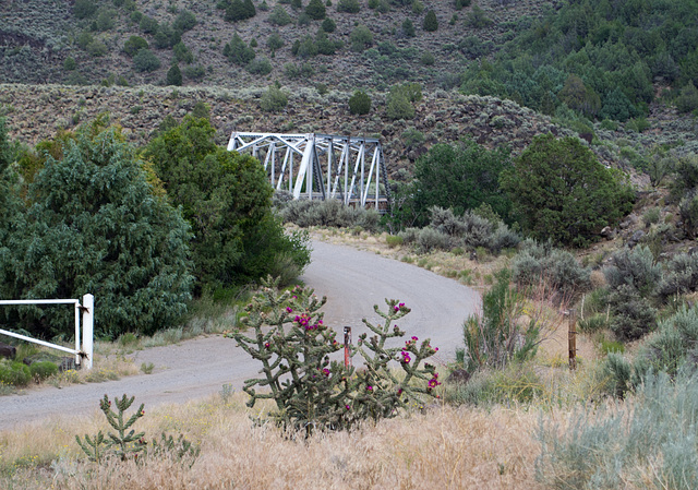 Rio Grande Gorge Taos junction bridge (# 0985)