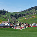 Barfussweg Appenzell