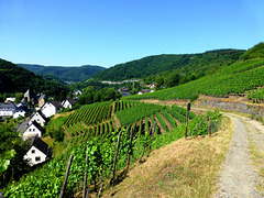 DE - Altenahr - Vineyards at Übigberg