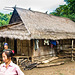 Hmong residence
