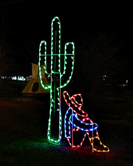 Christmas Lights - Cactus