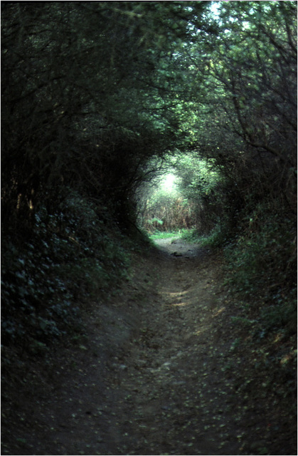 Ile de Groix 2 - Le tunnel