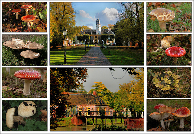 Herfst bij Fraeylemaborg