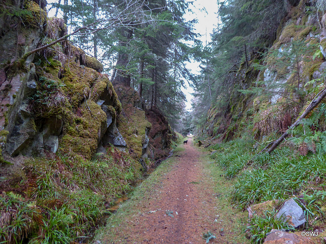 Blasting your way through this rock in 1861 must have been an engineering achievement