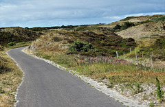 Bike Netherlands/  Texel  1x PiP