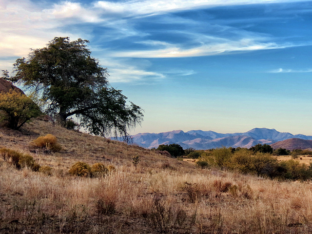 Little Dragoon Mountains