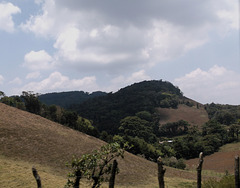 Paysage clôturé du Nicaragua / Fenced landscape