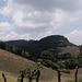 Paysage clôturé du Nicaragua / Fenced landscape