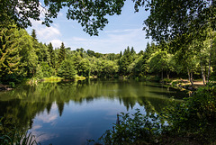 Basaltsee - 20150811