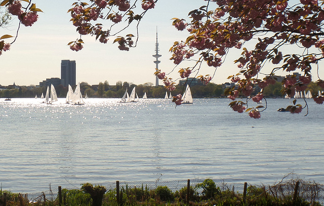 Sonniger Sonntag im Mai, an der Außenalster/ Hamburg