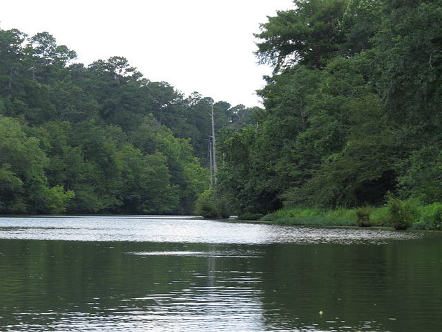 Tombigbee River