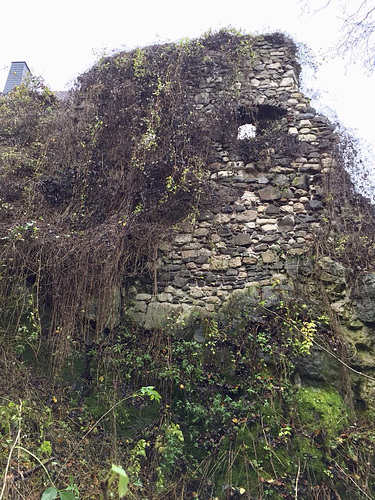 Wandern Einhornhöhle und Burgruine