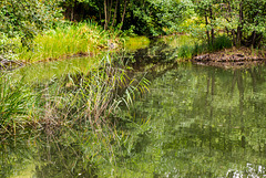 Basaltsee - 20150814