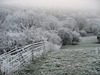 Frost and fog in the morning - HFF