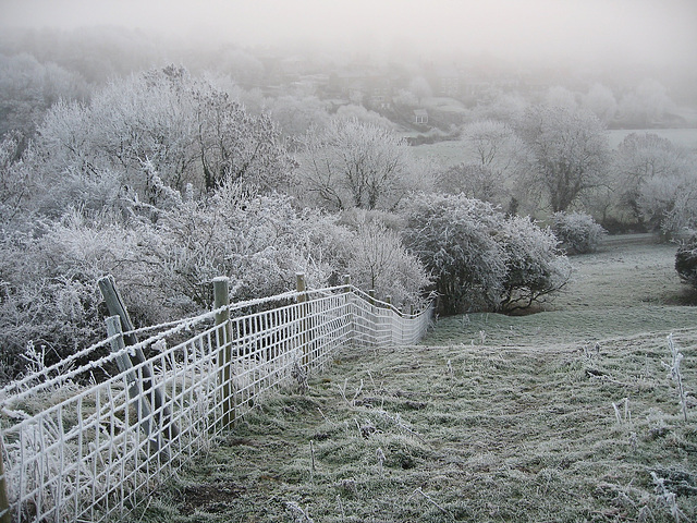 Frost and fog in the morning - HFF