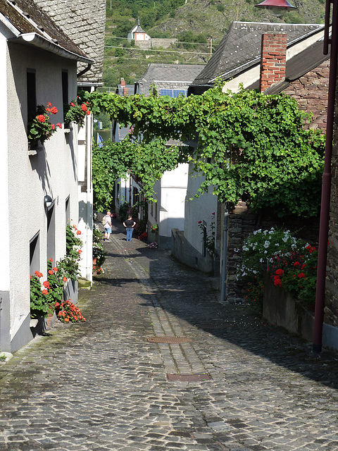 Sommeridylle in Burgen an der Mosel