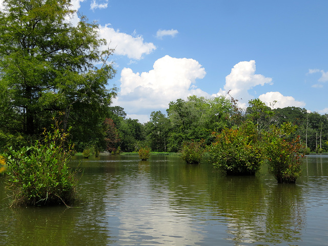 Tombigbee River