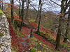 Wandern Einhornhöhle und Burgruine