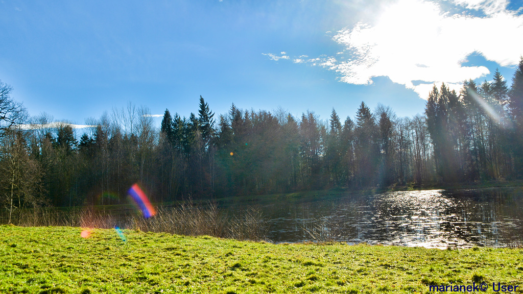 Strongly shining sunshine at the end of December