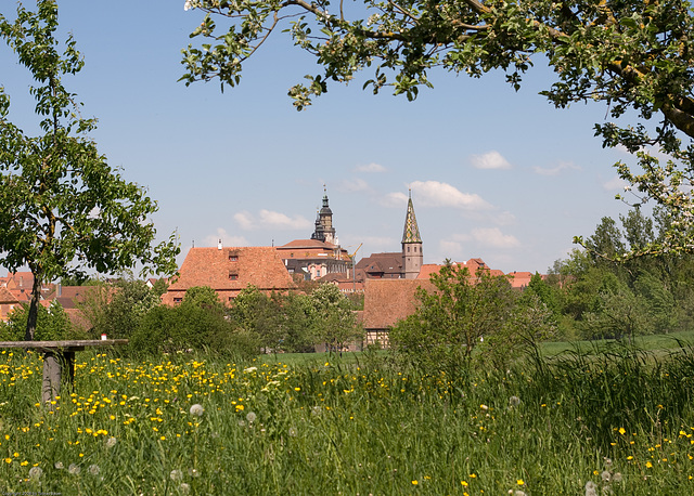 Freilandmuseum Bad Windsheim