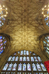 gloucester cathedral (346)
