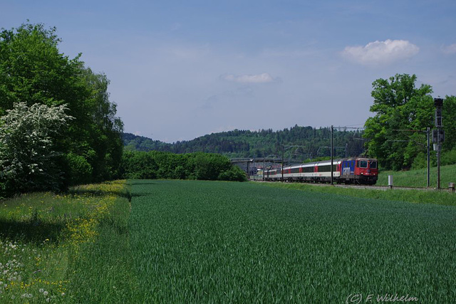 BÖ0019829 BÖ0019829