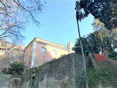 Monteiro-Mor Palace