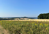 Landschaft bei Kirchdaun