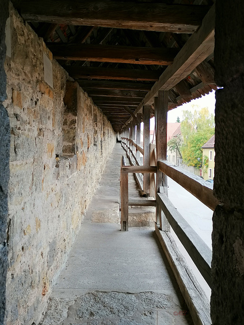 Der Zaun in Rothenburg o.d.Tauber