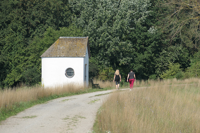 Irling, Wegkapelle auf dem Donaudeich (PiP)