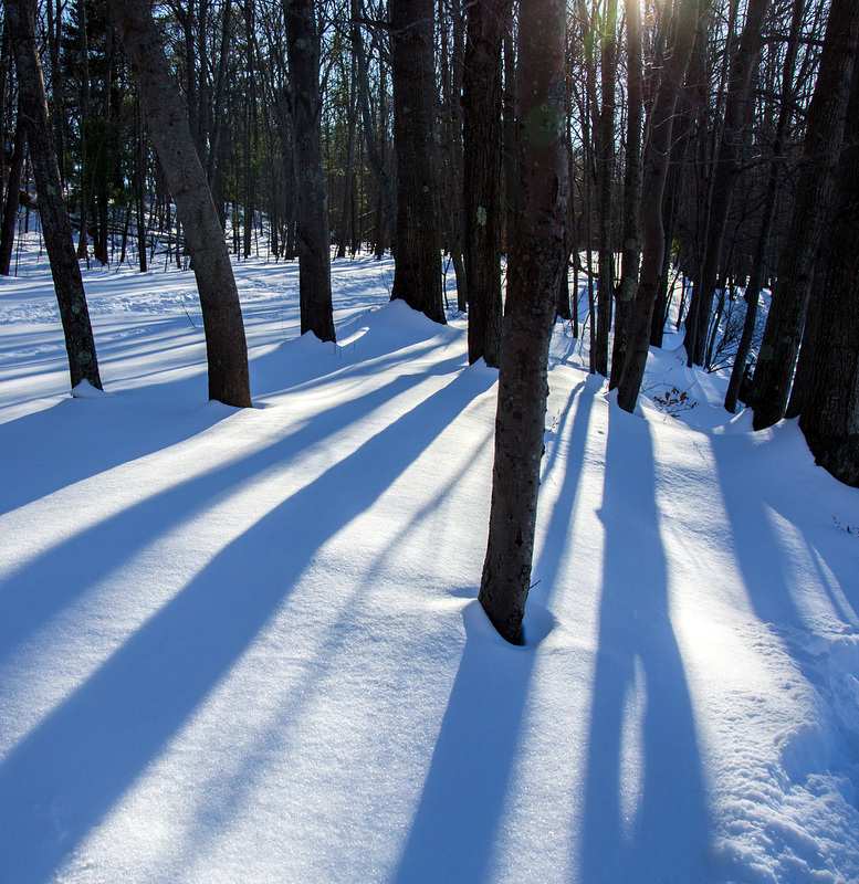 Snow shadows